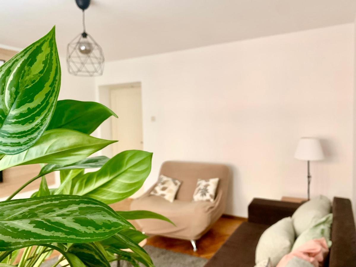 בלגרד Star Apartment 2 מראה חיצוני תמונה